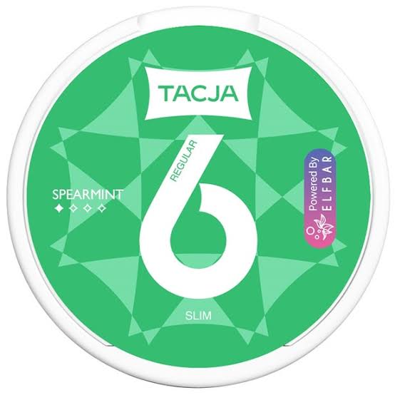 ELFBAR TACJA - NIK POUCHES SNUS